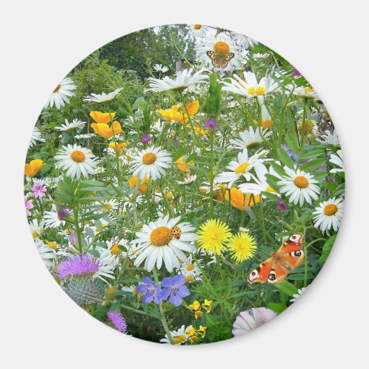 Sommergarten-Rundmagnet Magnet (Vorne)