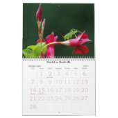 Sommergartenkalender Kalender (Feb 2027)