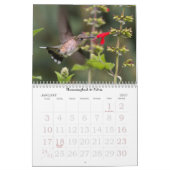 Sommergartenkalender Kalender (Jan 2027)