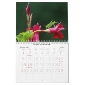 Sommergartenkalender Kalender (Feb 2026)