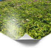 Sommergebirge Fotodruck (Ecke)