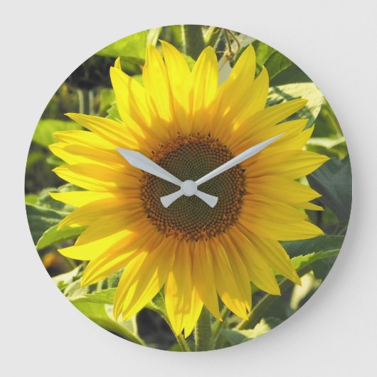 Sommerglühen Sonnenblume Große Wanduhr (Vorderseite)