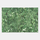 Sommergras Geschenkpapier Set (Vorderseite 2)