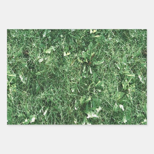 Sommergras Geschenkpapier Set (Vorderseite)