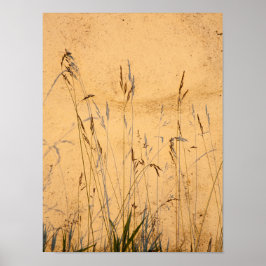Sommergras und Schatten Postkarte Poster