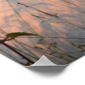 Sommergras und Schatten Postkarte Poster (Ecke)