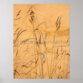 Sommergras und Schatten Postkarte Poster