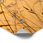 Sommergras und Schatten Postkarte Poster (Ecke)