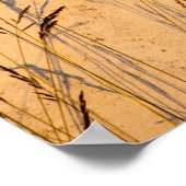 Sommergras und Schatten Postkarte Poster (Ecke)