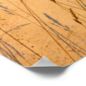 Sommergras und Schatten Postkarte Poster (Ecke)