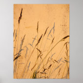 Sommergras und Schatten Postkarte Poster (Vorne)