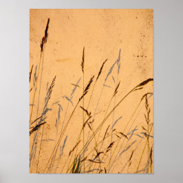 Sommergras und Schatten Postkarte Poster