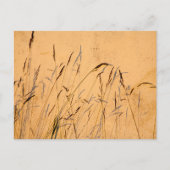 Sommergräser und Schatten Postkarte (Vorderseite)