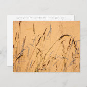 Sommergräser und Schatten Postkarte (Vorne/Hinten)