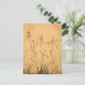 Sommergräser und Schatten Postkarte (Stehend Vorderseite)