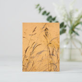 Sommergräser und Schatten Postkarte (Stehend Vorderseite)