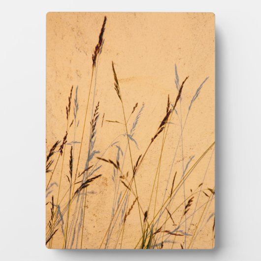 Sommergräser und Schatten Postkartenverpackung Acr Fotoplatte (Vorderseite)