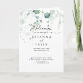 Sommergrüner Eukalyptus-Foliage Programm (Vorderseite)