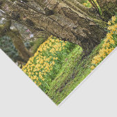 Sommerhaus Komplett, alter Baum und gelbe Blumen Seidenpapier (Ausschnitt)