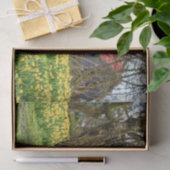 Sommerhaus Komplett, alter Baum und gelbe Blumen Seidenpapier (Geschenk)