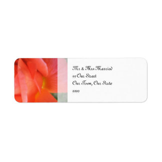 Sommerhochzeit der Rose