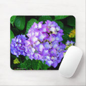 SommerHydrangea Mousepad (Mit Mouse)