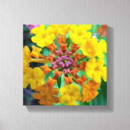 Sommerjuwelen Leinwanddruck