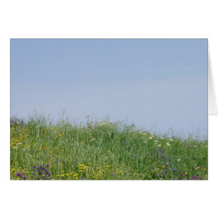 Sommerkarte der Blume