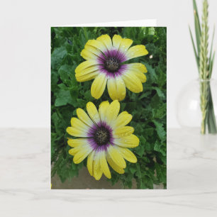 Sommerkarte für Blume Karte