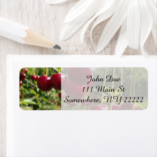 Sommerkirschen (Insitu)