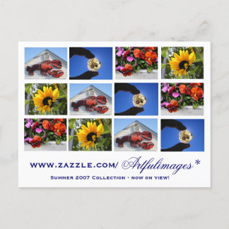 Sommerkollektion 2007 postkarte