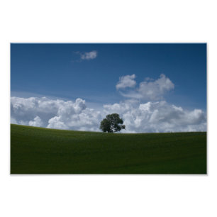 Sommerlandschaft (alte Linslade 8354) Fotodruck