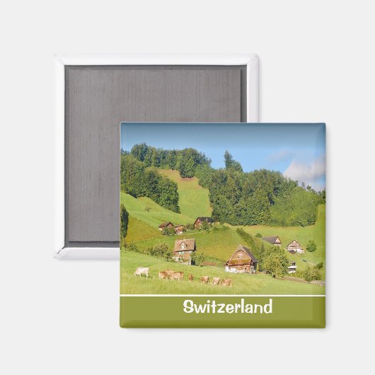 Sommerlandschaft in der Schweiz Magnet (Vorderseite/Rückseite)