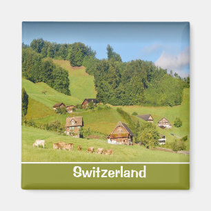 Sommerlandschaft in der Schweiz Magnet