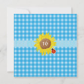 Sommerlandspass 16 . Geburtstag Geburtstag Einladung (Rückseite)