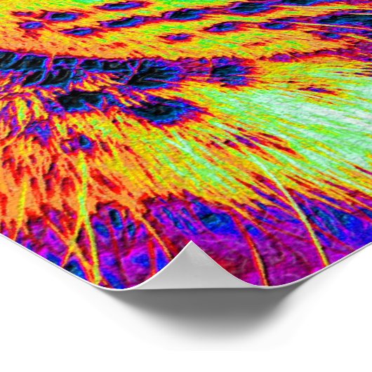 Sommerleopard Poster (Ecke)