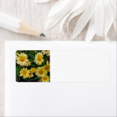 Sommerliche Blume (Insitu)