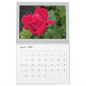 Sommerliche Blume 2025 Kalender (Mär 2027)