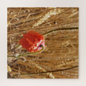 Sommerliche Blume auf dem Weizenfeld Puzzle (Horizontal)