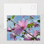Sommerliche Blume (Baummoor) Postkarte (Vorne/Hinten)