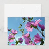 Sommerliche Blume (Baummoor) Postkarte (Vorne/Hinten)