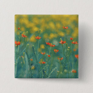 Sommerliche Blume (Blumenfeld) (Rote Blume) Button