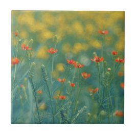Sommerliche Blume (Blumenfeld) (Rote Blume) Fliese