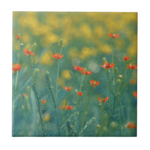 Sommerliche Blume (Blumenfeld) (Rote Blume) Fliese