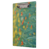 Sommerliche Blume (Blumenfeld) (Rote Blume) Klemmbrett (Links)