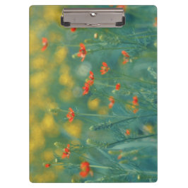 Sommerliche Blume (Blumenfeld) (Rote Blume) Klemmbrett