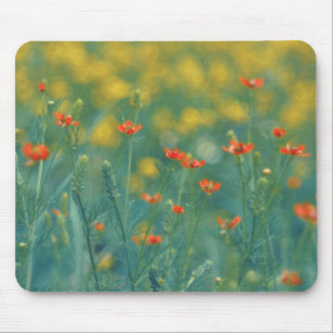 Sommerliche Blume (Blumenfeld) (Rote Blume) Mousepad