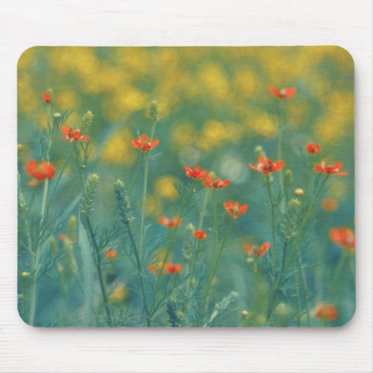 Sommerliche Blume (Blumenfeld) (Rote Blume) Mousepad (Vorne)