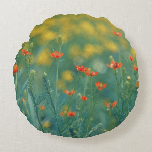 Sommerliche Blume (Blumenfeld) (Rote Blume) Rundes Kissen (Vorderseite)