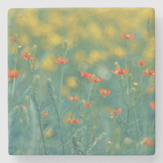 Sommerliche Blume (Blumenfeld) (Rote Blume) Steinuntersetzer (Vorderseite)